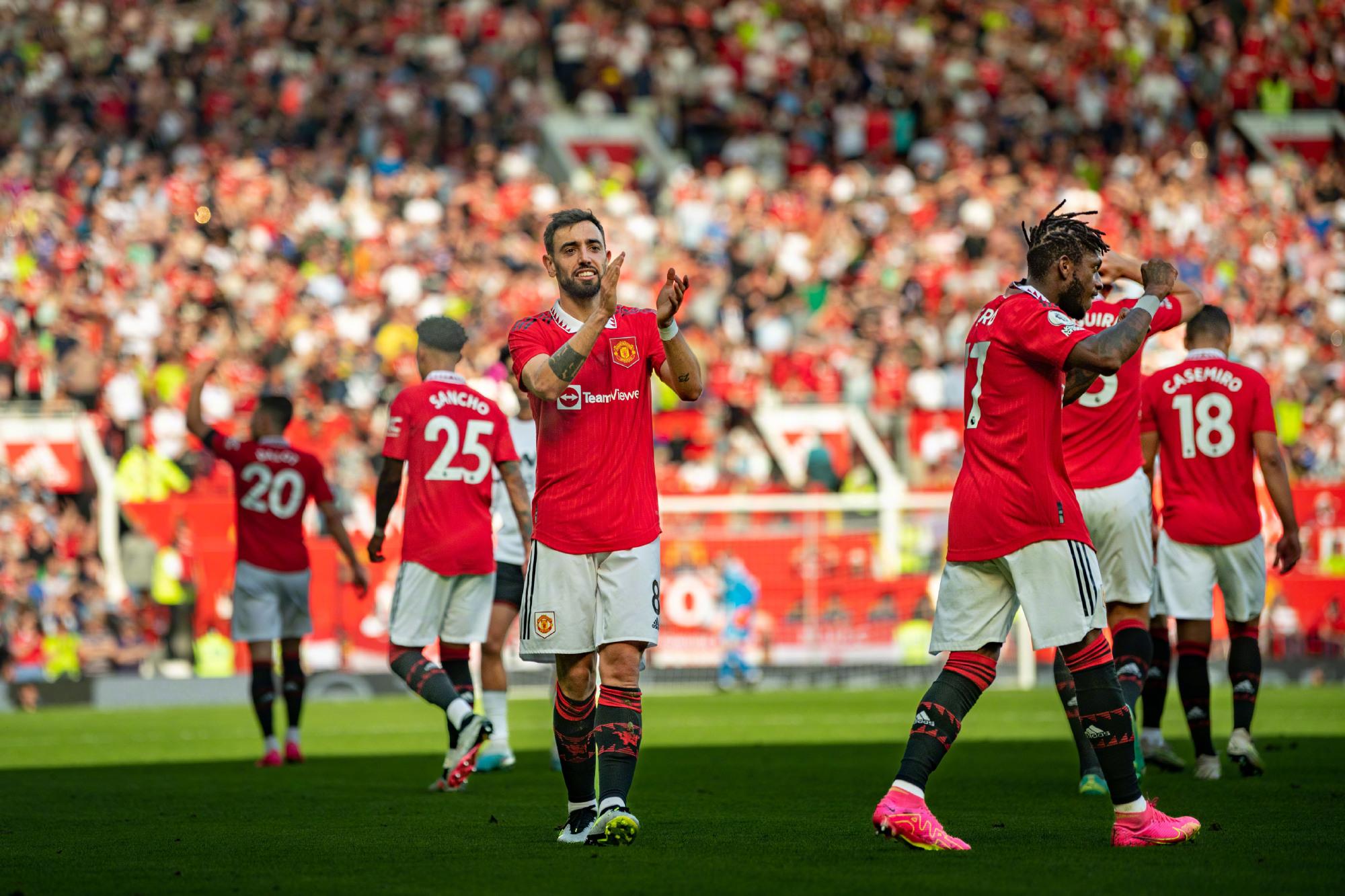 贯的稳健 贯的稳健