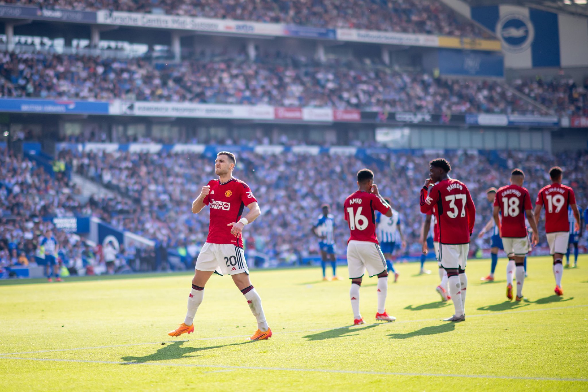 塞鸟有效地 塞鸟有效地