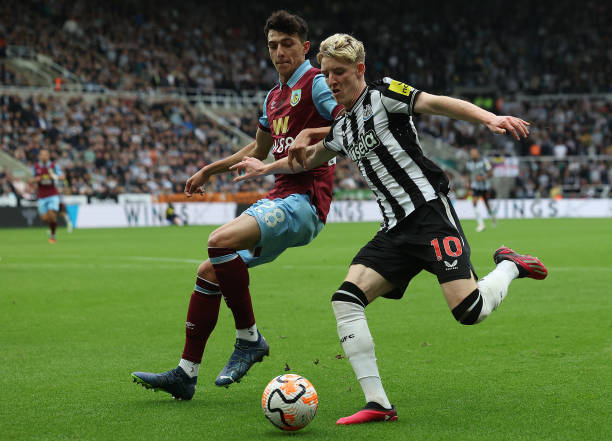 仅展现了中 仅展现了中