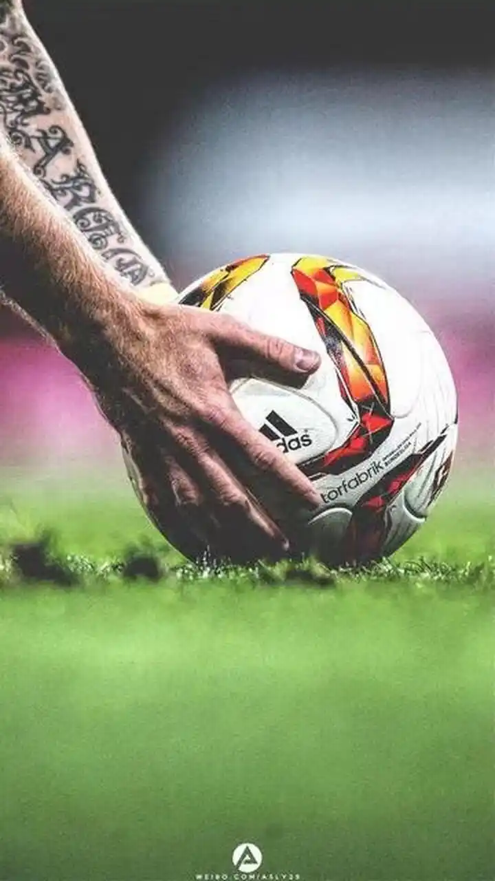 转会市场的 转会市场的